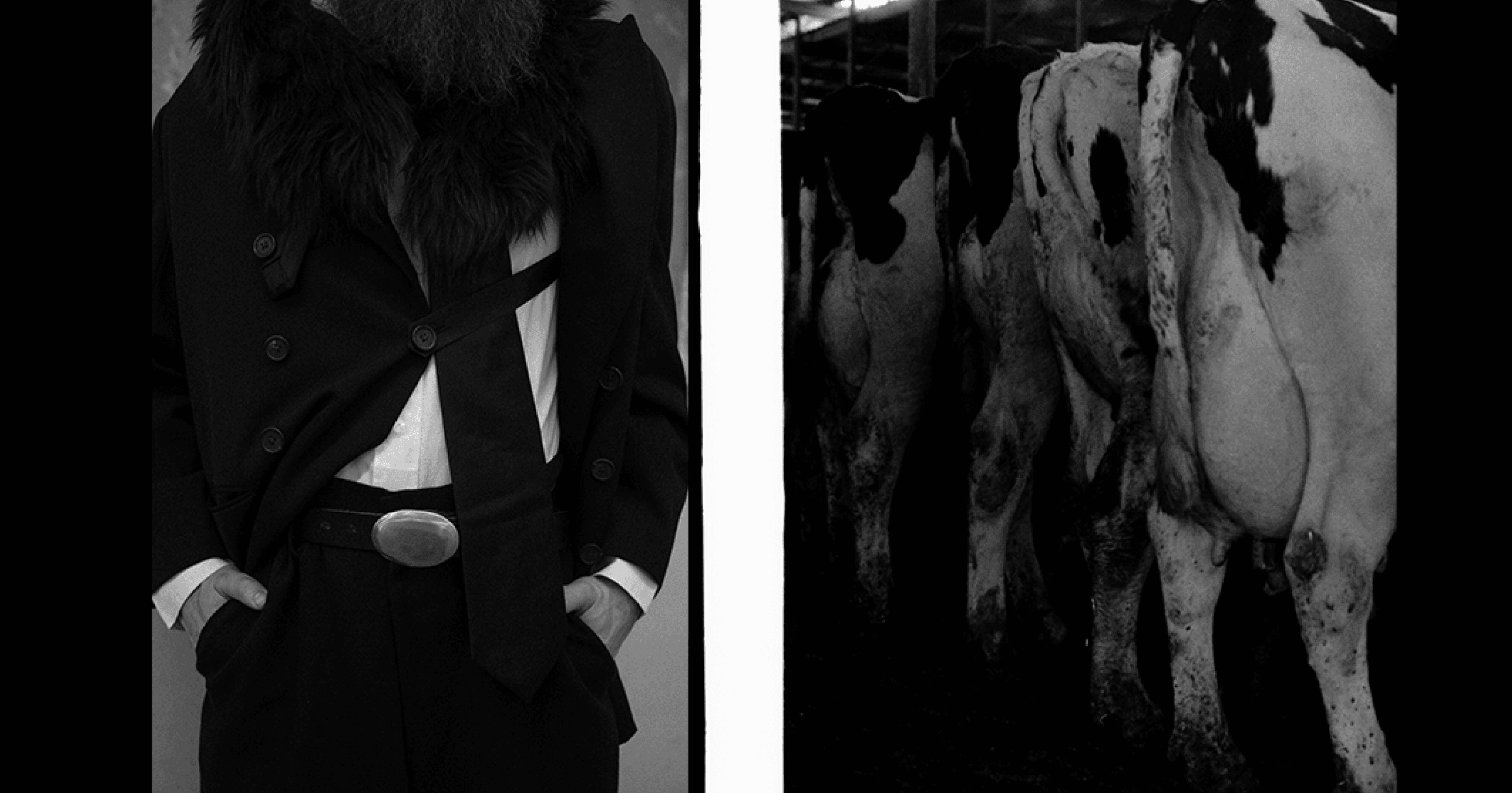 Visual Shoot 002 4