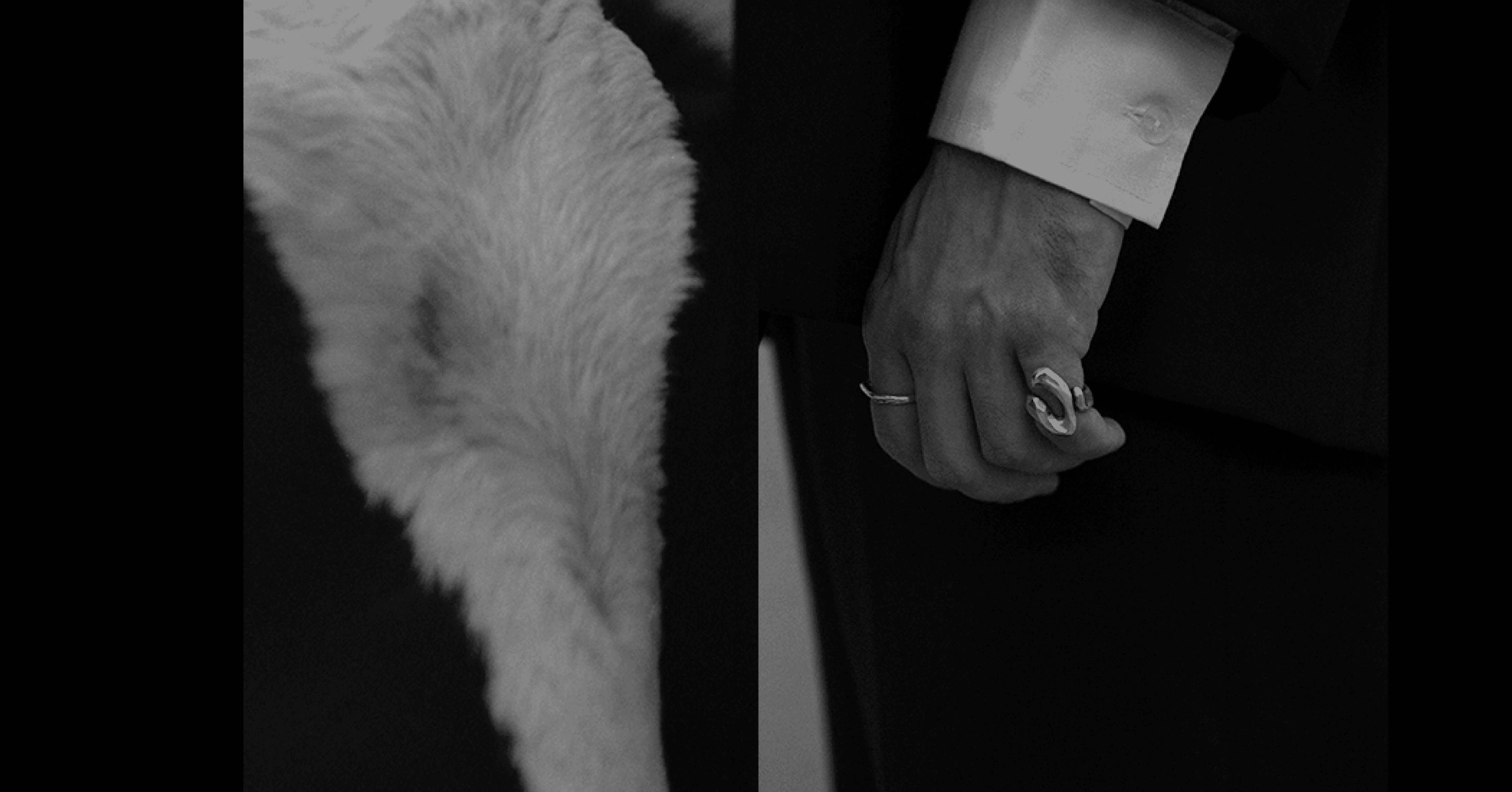 Visual Shoot 002 2