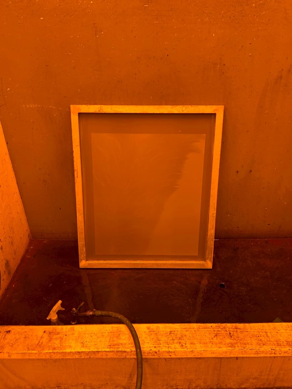 Silkscreened Photo T-Shirts 5