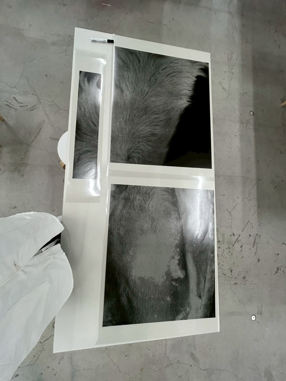 Silkscreened Photo T-Shirts 6