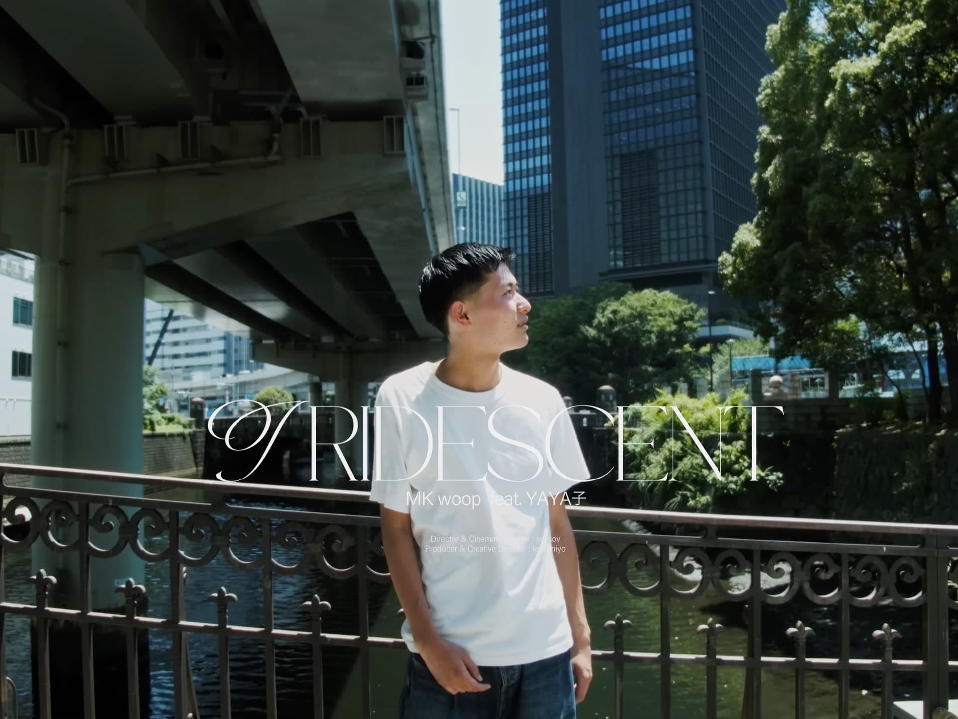 Iridescent MV 1